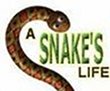 A Snakes Life - Boxshot