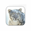Apple Mac OS X Snow Leopard for Mac