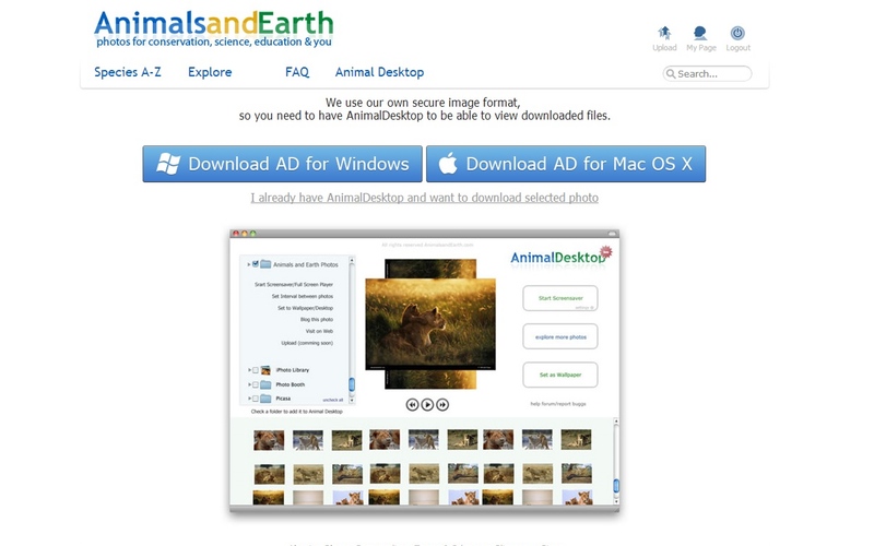 Screenshot af Animal Desktop