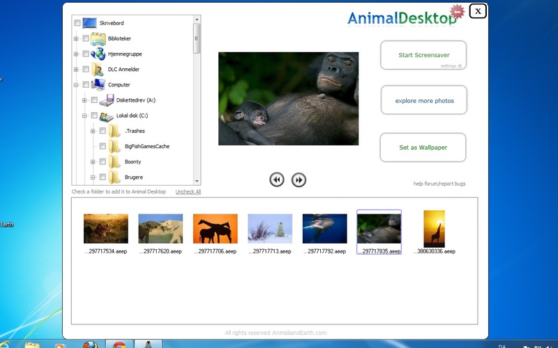 Screenshot af Animal Desktop