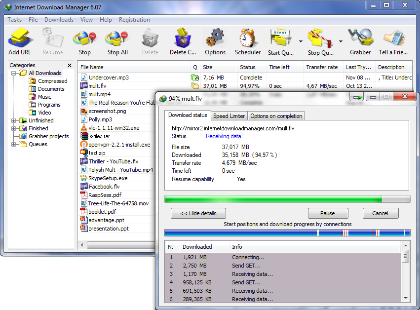 Screenshot af Internet Download Manager