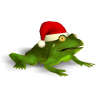 Christmas Super Frog - Boxshot