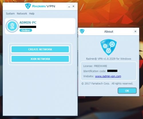 Screenshot af Radmin VPN