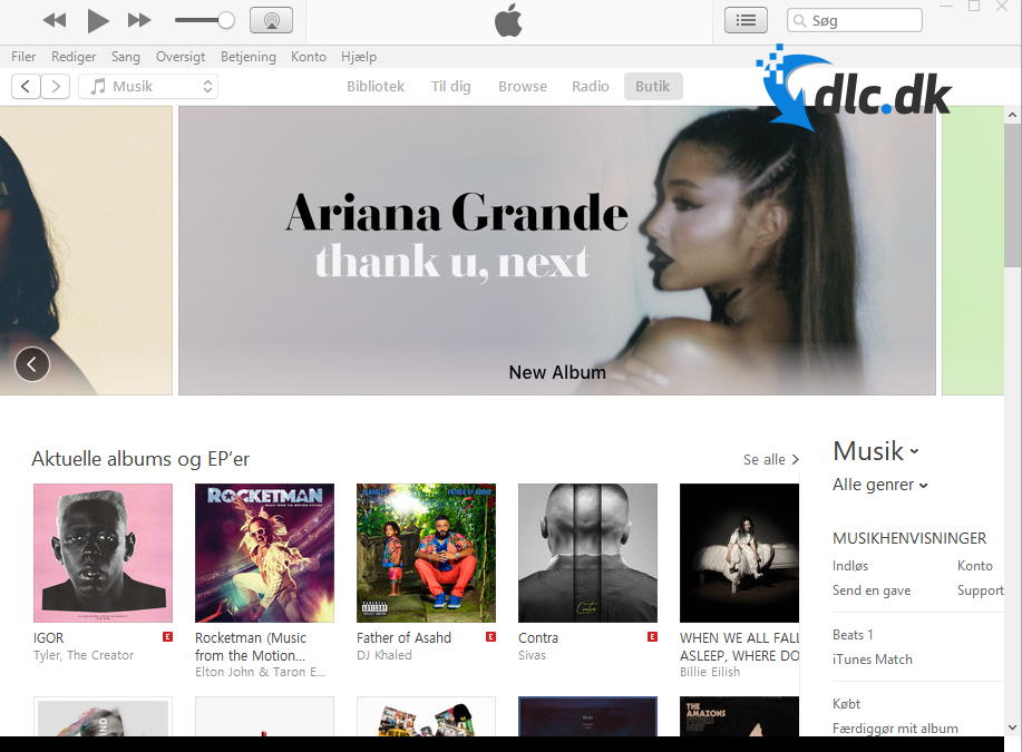 Screenshot af iTunes für Windows
