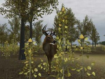 Screenshot af Deer Hunter 2004