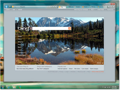 Screenshot af Internet Explorer