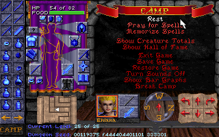 Screenshot af Dungeon Hack