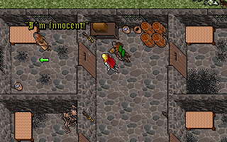 Screenshot af Ultima 7 Part 2 - Serpent Isle