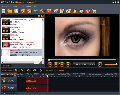 Screenshot af FLV Editor Pro