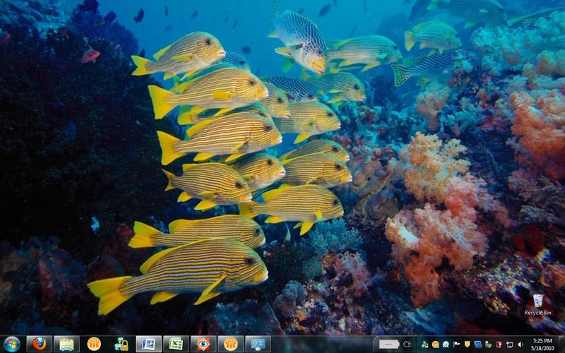 Screenshot af Ocean Life HD