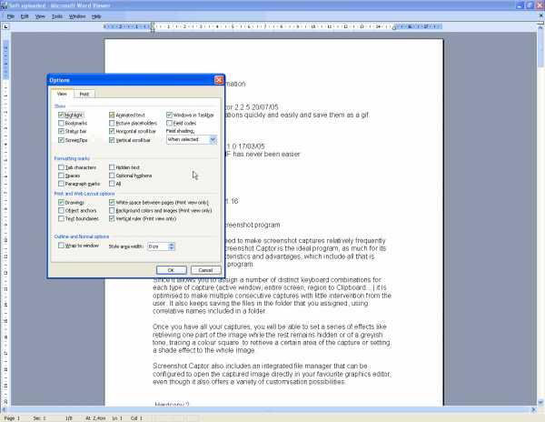 Screenshot af Microsoft Word Viewer