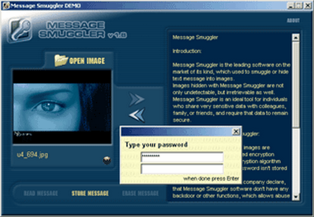 Screenshot af Message Smuggler